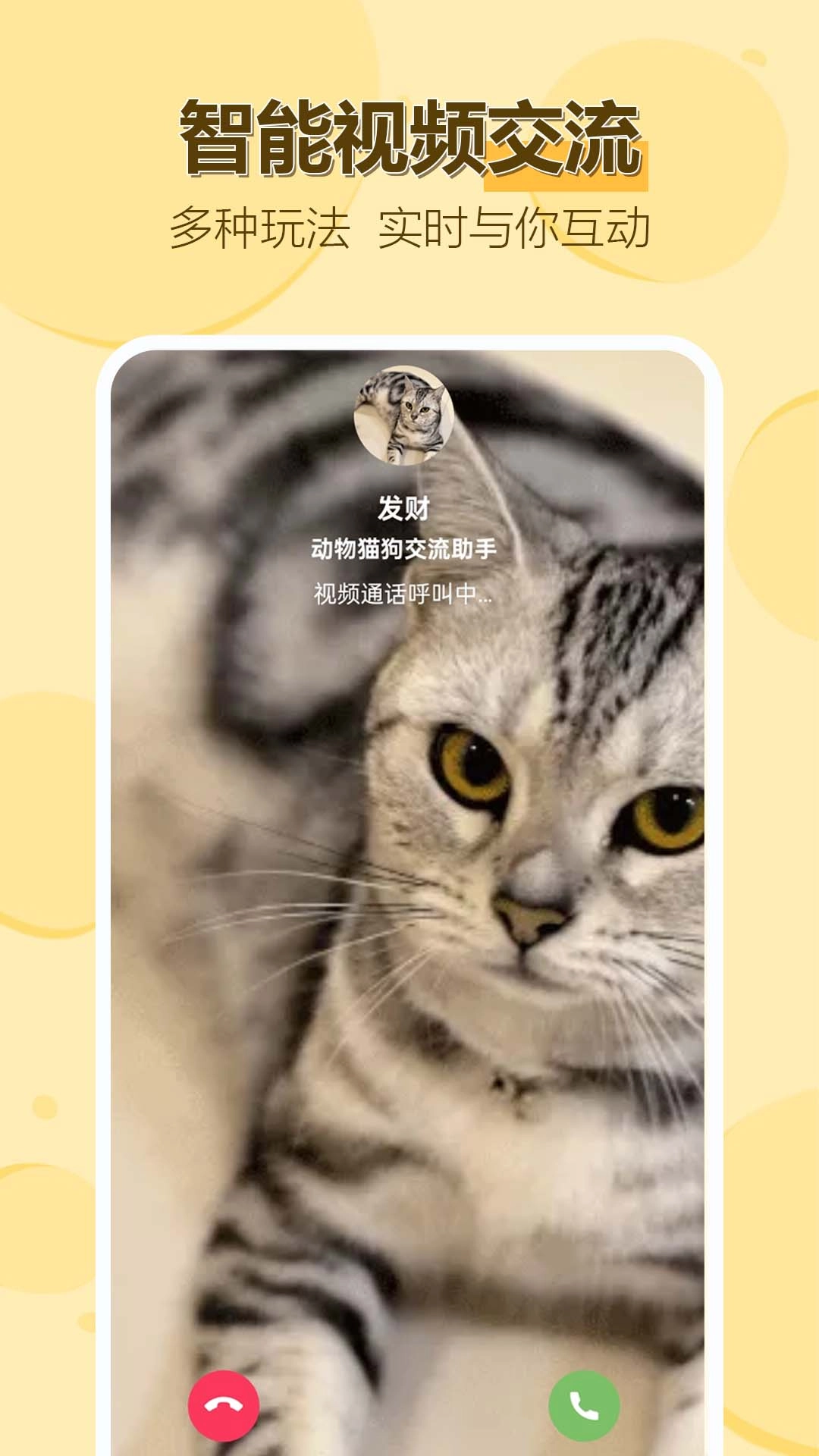 动物猫狗交流助手正版图2