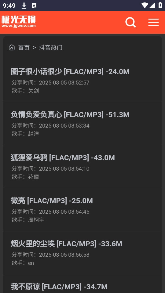 极光无损音乐安卓官方版图10