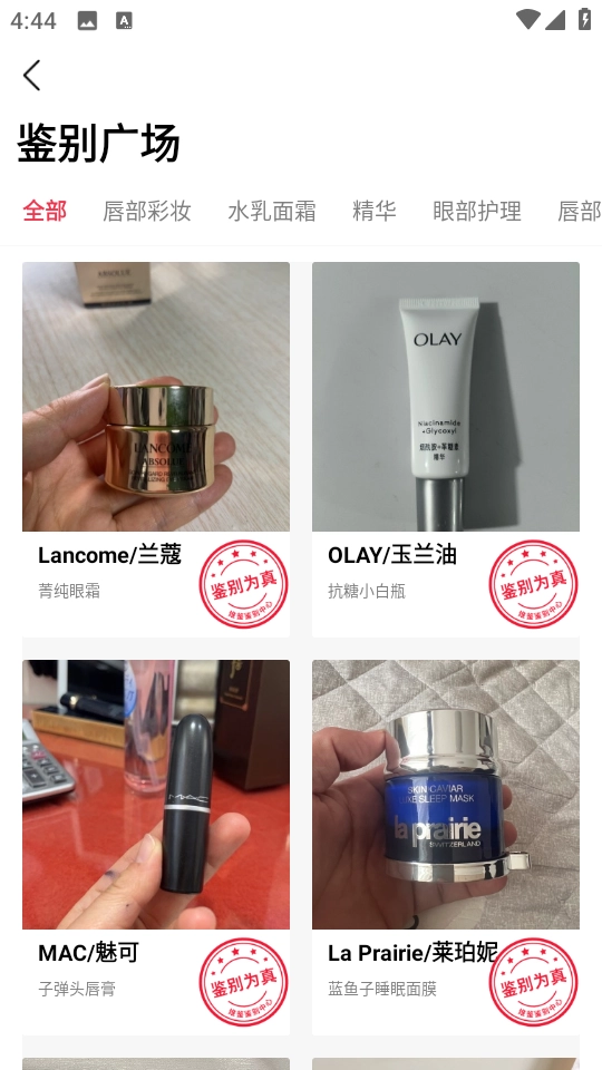 维鉴直装版图5