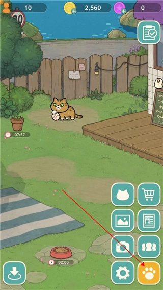 神秘猫咪字典通用版图4