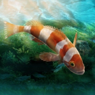 水族馆设计师安卓免费版