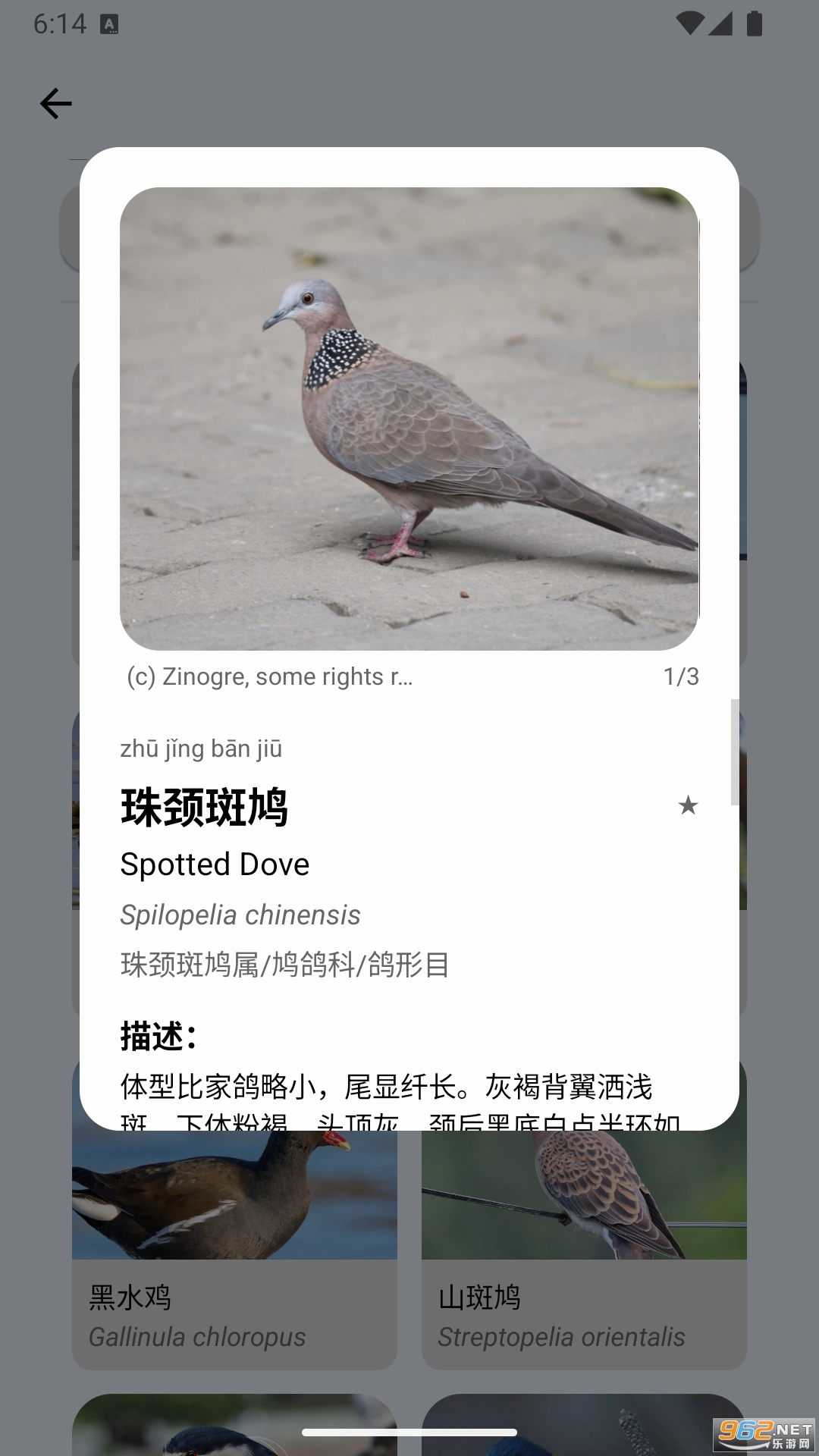 百鸟记直装版图5