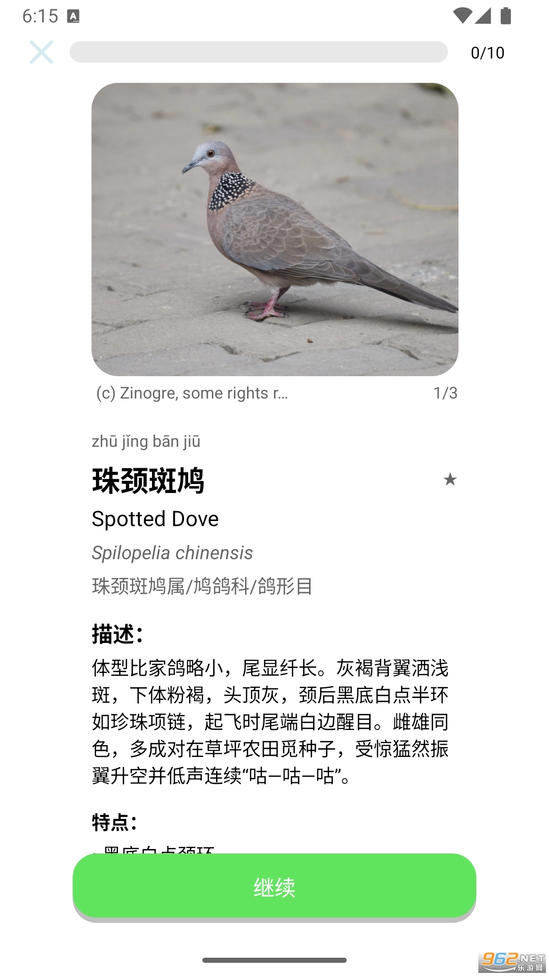 百鸟记直装版图4