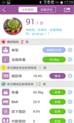 轻牛2026正版图2