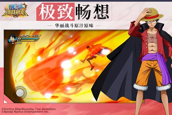 航海王燃烧意志先锋服免费原版图5