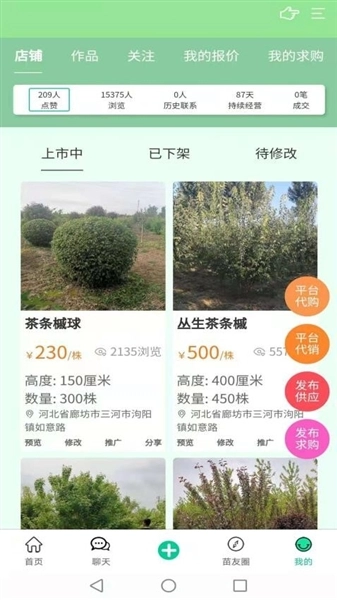 苗木人最新版图1