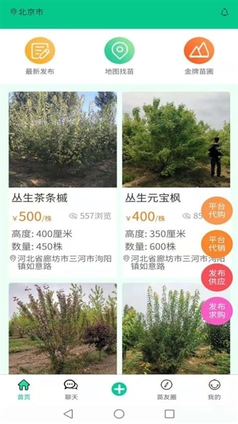 苗木人最新版图5