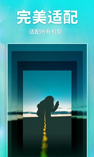 灵猫壁纸免费版图2