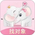 组CP2026本直装版