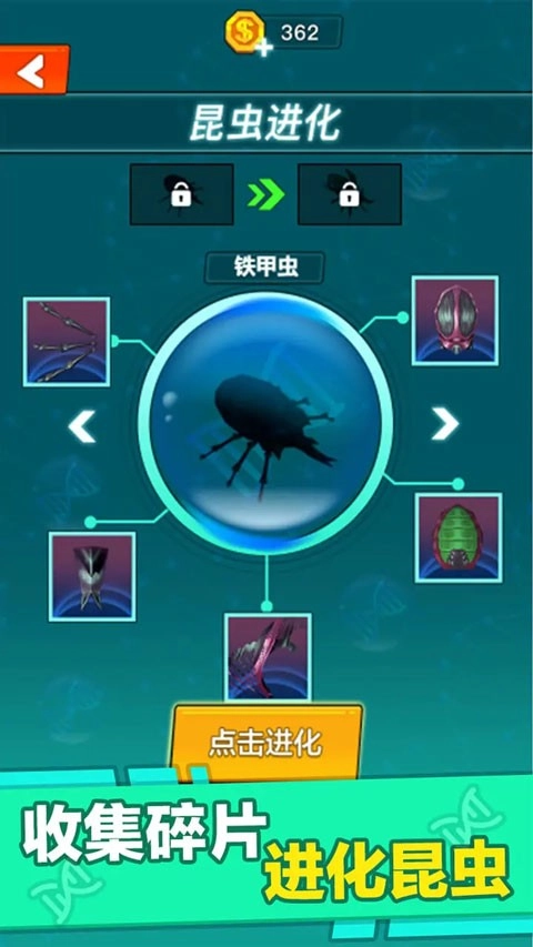 昆虫进化大乱斗游戏官方最新版(3)