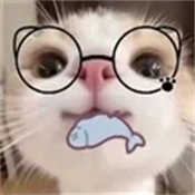 主题仓Pro绿色版 V1.0.1