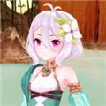 直装版