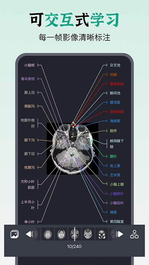 万康人体解剖无广告版图4