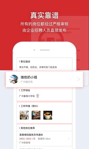 招聘猫手机正版图2