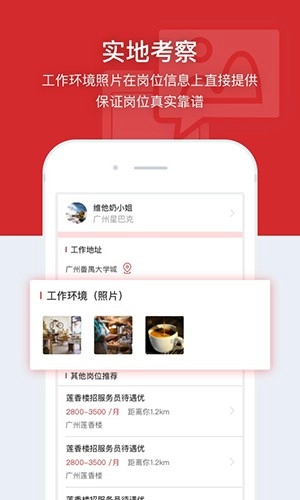 招聘猫手机正版图4