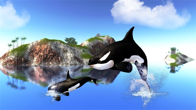 TheKillerWhale游戏正版图1