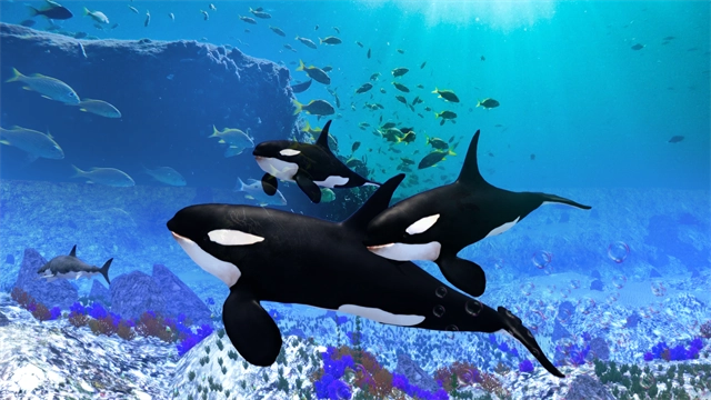 TheKillerWhale游戏正版图3