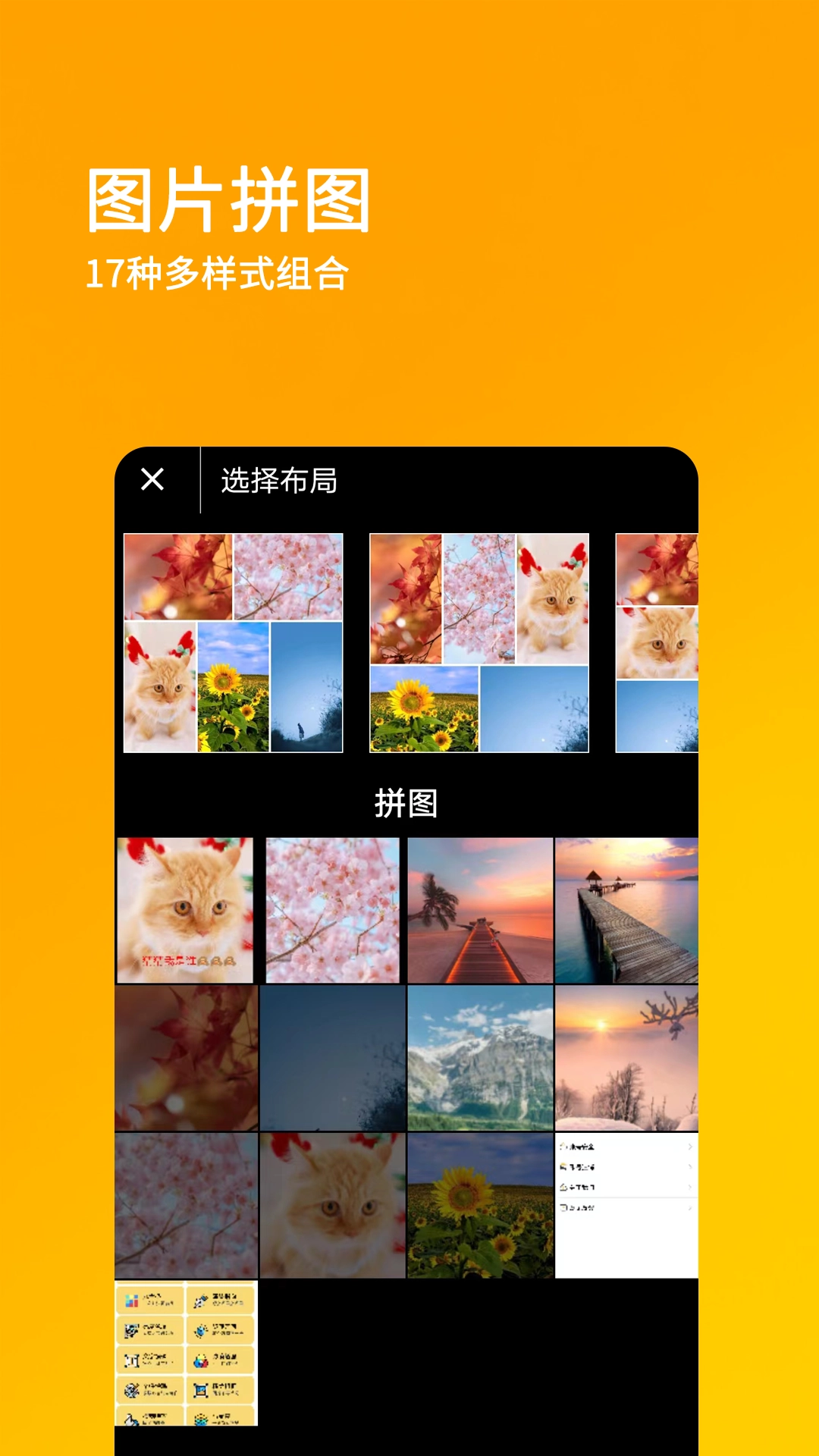 刷兔圈最新免费版