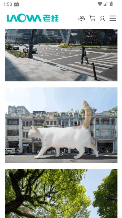 老蛙镜头(镜头管理)最新免费版图4