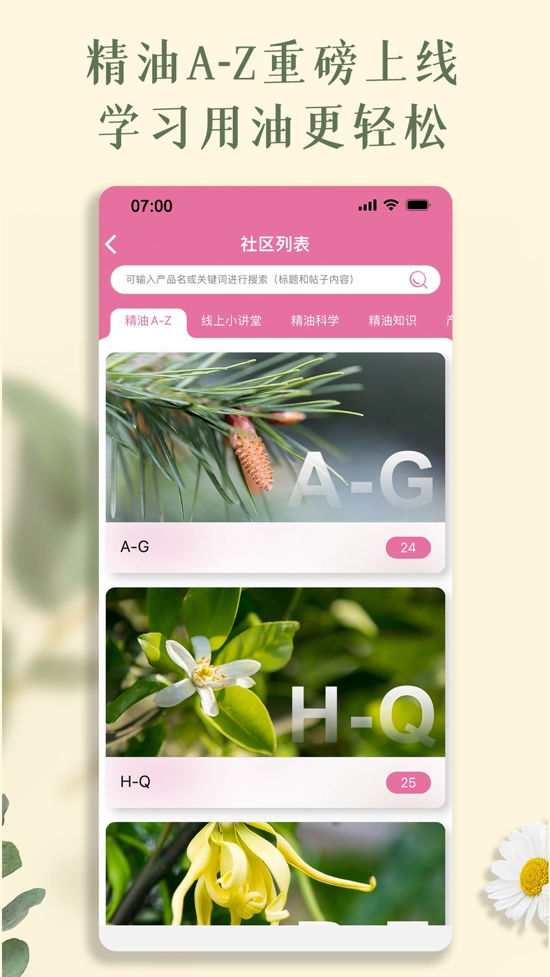 多特瑞版图2
