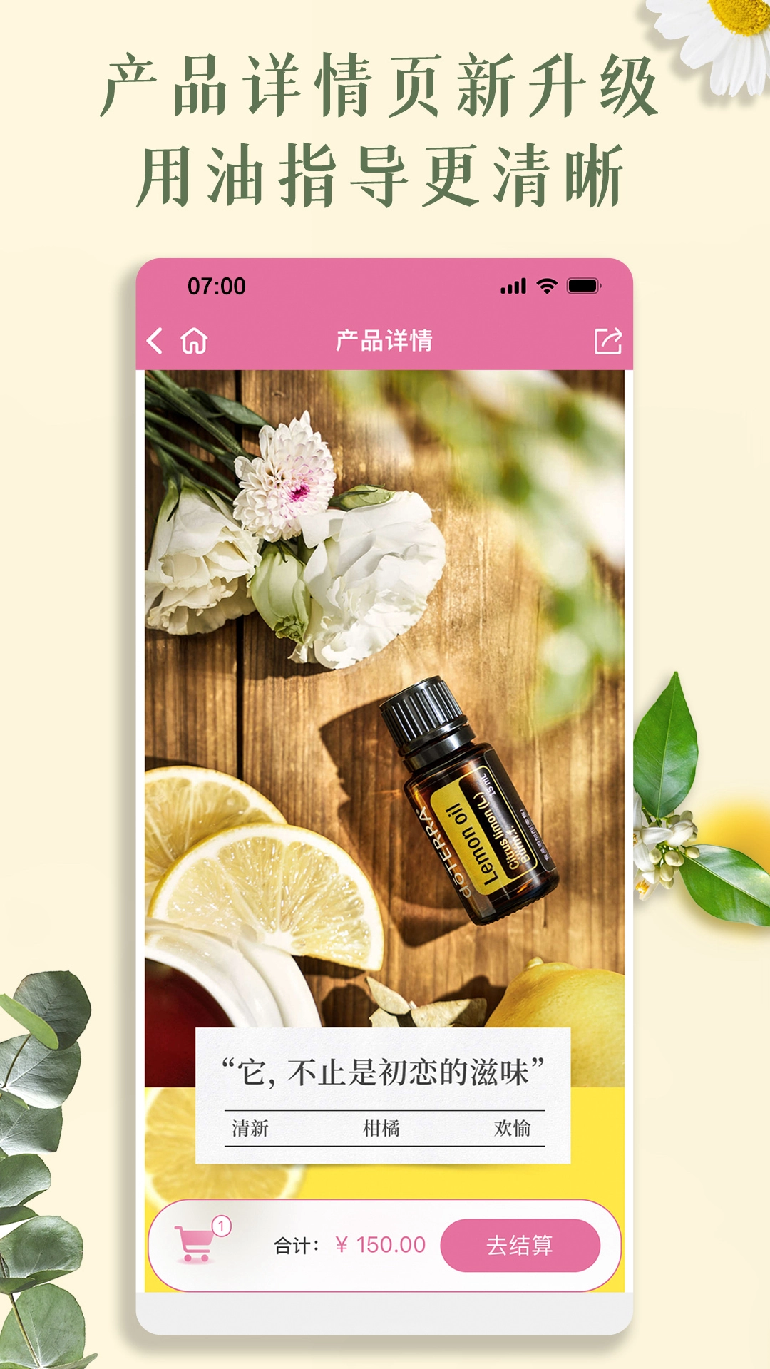 多特瑞版图4