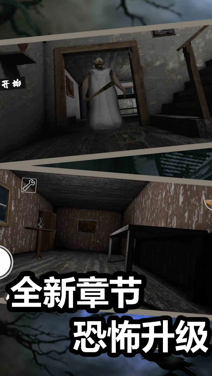 恐怖奶奶6游戏纯净最新版(4)