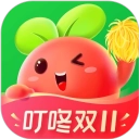 叮咚买菜直装版