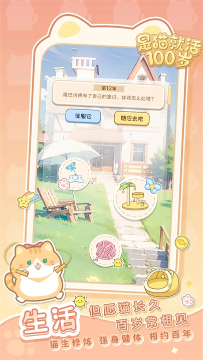 是猫就活100岁最新免费版(3)