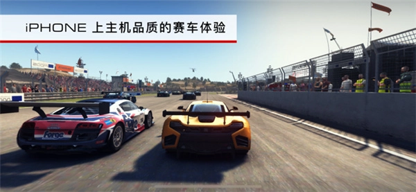 Grid超级房车赛安卓版图3