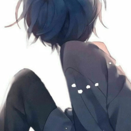 六花直装通用版