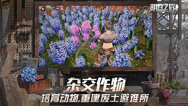 明日之后国际服免费版(4)