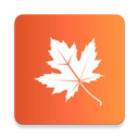 枫叶漂流瓶手机版