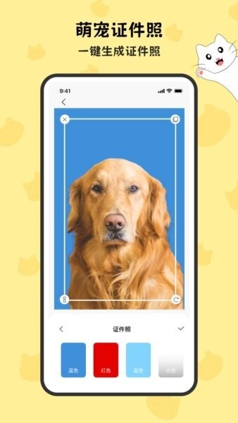 表情包正版图3
