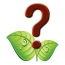 植物识别无广告版