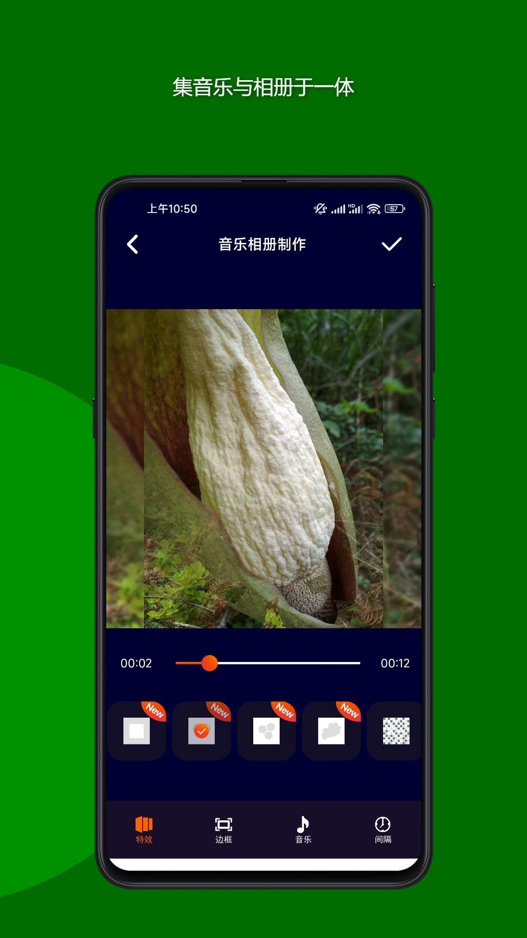 魔法音乐相册安卓免费版图4
