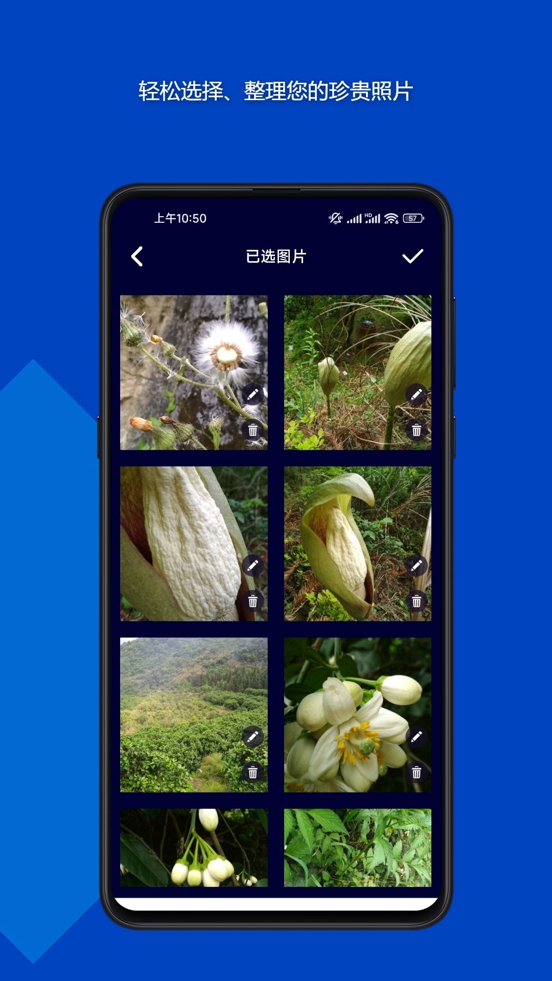魔法音乐相册安卓免费版图3