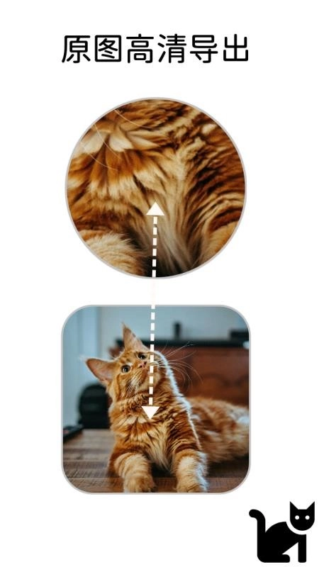 小猫边框通用版图1
