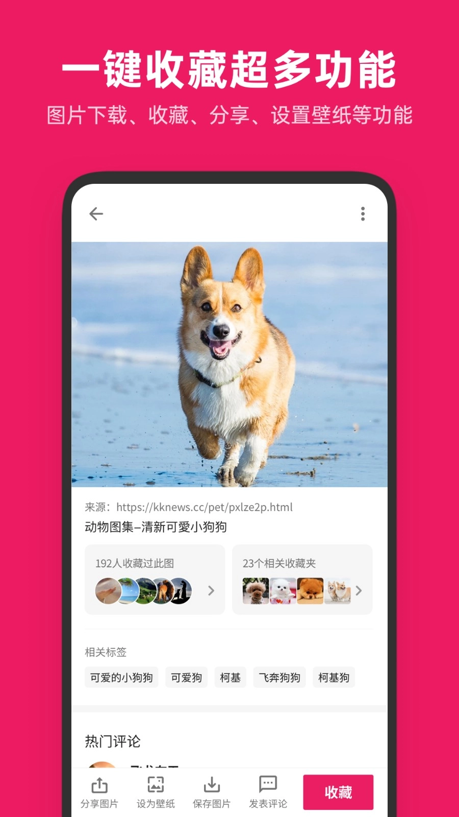 图片搜搜手机版图2