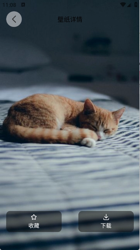 萌猫派对壁纸官方版图3