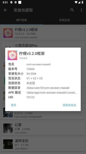柠檬框架辅助器绿色版图2