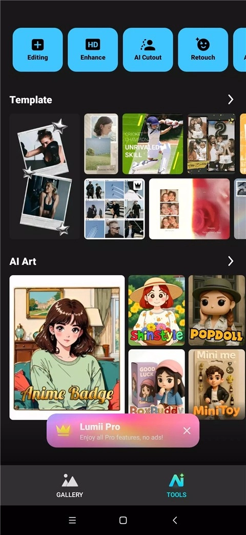 Lumii-PhotoEditor手机最新版图3