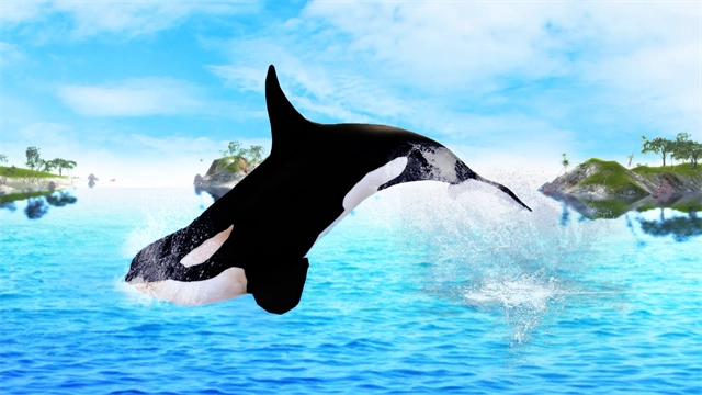 TheKillerWhale通用版图2