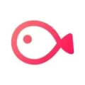 VLLO通用版