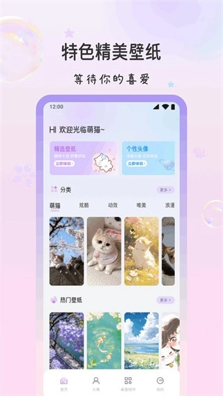 萌猫派对壁纸高清版图3