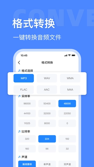 音频大师绿色版图4