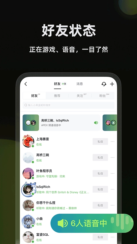 黑盒语音绿色版图1