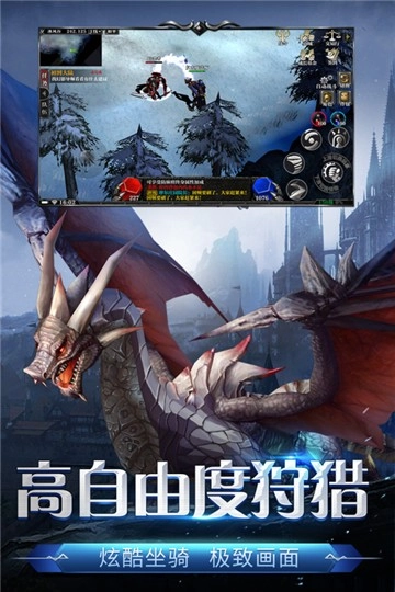 剑与翼游戏无广告版图4