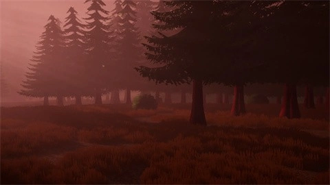 darkwood无线电塔直装游戏版图3
