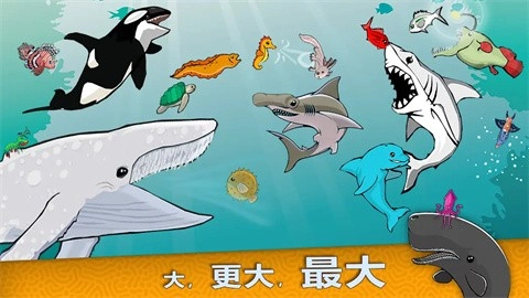 皇家鱼手游直装版图3