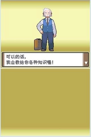 口袋妖怪白金正版图2
